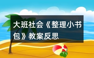 大班社會《整理小書包》教案反思