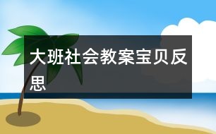 大班社會教案寶貝反思