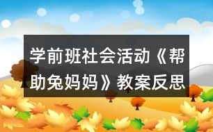 學前班社會活動《幫助兔媽媽》教案反思