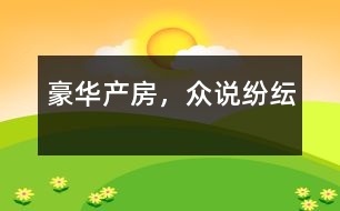 豪華產(chǎn)房，眾說紛紜