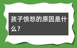 孩子憤怒的原因是什么？