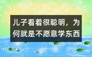 兒子看著很聰明，為何就是不愿意學(xué)東西