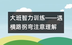 大班智力訓(xùn)練――遇橫路拐彎（注意、理解、判斷）