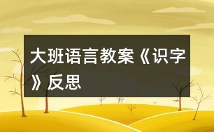 大班語言教案《識字》反思