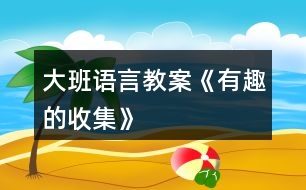 大班語言教案《有趣的收集》