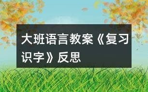 大班語言教案《復(fù)習(xí)識字》反思