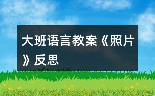 大班語言教案《照片》反思