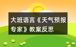 大班語言《天氣預報專家》教案反思