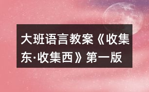 大班語言教案《收集東·收集西》第一版反思