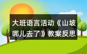 大班語言活動(dòng)《山坡哪兒去了》教案反思