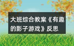 大班綜合教案《有趣的影子游戲》反思