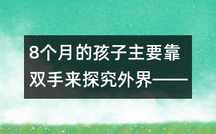 8個(gè)月的孩子主要靠雙手來(lái)探究外界――杜亞松回答