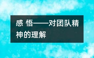 感 悟――對“團(tuán)隊精神”的理解