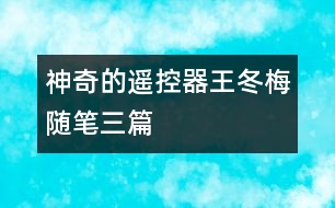 神奇的遙控器（王冬梅隨筆三篇）