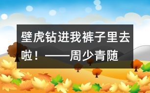 “壁虎”鉆進(jìn)我褲子里去啦！――周少青隨筆兩篇