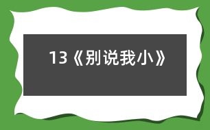 13《別說(shuō)我小》