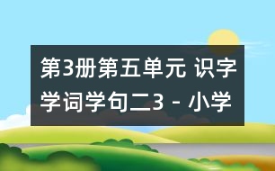 第3冊第五單元 識字學(xué)詞學(xué)句（二）3 - 小學(xué)二年級語文教案