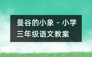 曼谷的小象 - 小學三年級語文教案