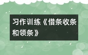 （習(xí)作訓(xùn)練）《借條、收條和領(lǐng)條》