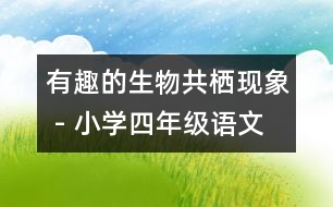 有趣的生物共棲現(xiàn)象 - 小學(xué)四年級語文教案