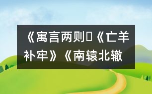 《寓言兩則?《亡羊補(bǔ)牢》、《南轅北轍》》教學(xué)設(shè)計(jì),教案