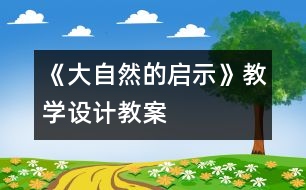 《大自然的啟示》教學設計,教案