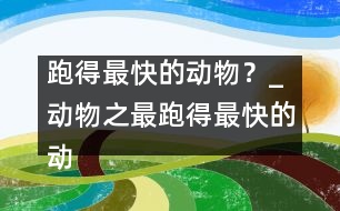 跑得最快的動物？_動物之最：跑得最快的動物？