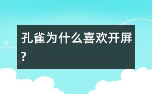 孔雀為什么喜歡開屏?