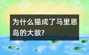 為什么貓成了馬里恩島的大敵?