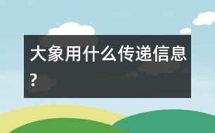 大象用什么傳遞信息?