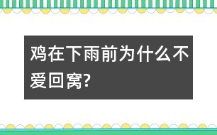 雞在下雨前為什么不愛回窩?