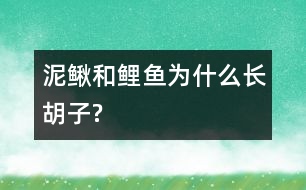 泥鰍和鯉魚(yú)為什么長(zhǎng)胡子?