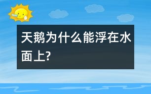 天鵝為什么能浮在水面上?