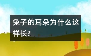 兔子的耳朵為什么這樣長?