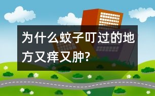 為什么蚊子叮過的地方又癢又腫?