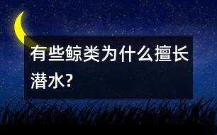 有些鯨類(lèi)為什么擅長(zhǎng)潛水?