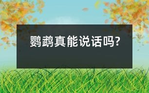 鸚鵡真能說話嗎?