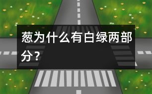 蔥為什么有白、綠兩部分？