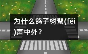 為什么鴿子樹蜚(fěi)聲中外？