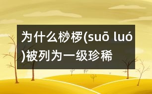 為什么桫欏(suō luó)被列為一級(jí)珍稀植物？