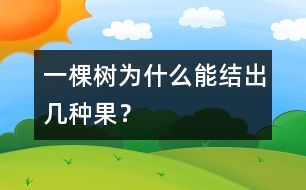 一棵樹(shù)為什么能結(jié)出幾種果？