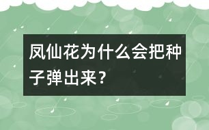 鳳仙花為什么會把種子彈出來？