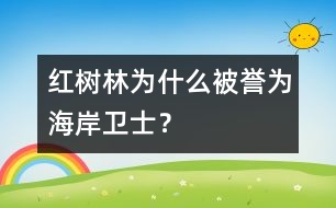 紅樹林為什么被譽為“海岸衛(wèi)士”？