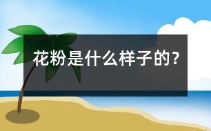 花粉是什么樣子的？