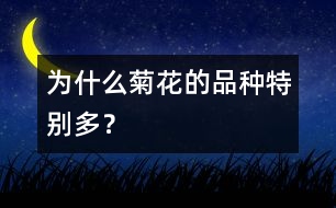 為什么菊花的品種特別多？