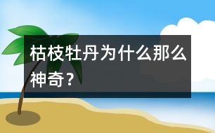 枯枝牡丹為什么那么神奇？