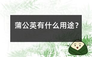 蒲公英有什么用途？