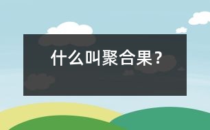 什么叫聚合果？