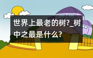 世界上最老的樹(shù)?_樹(shù)中之最是什么?