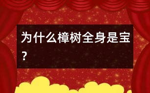 為什么樟樹(shù)全身是寶？